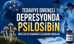 İngiltere’de Psilosibin Çalışması: Sonuçlar Henüz Yayımlanmadı