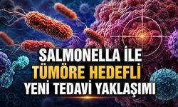 Salmonella ile Tümöre Hedefli Yeni Tedavi Yaklaşımı
