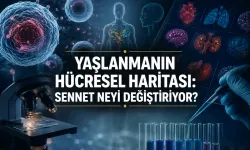 Yaşlanmanın Hücresel Haritası: SenNet Neyi Değiştiriyor?