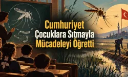 Sıtma Matematik Dersine Bile Girdi: Cumhuriyet Çocuklara Sivrisinekle Mücadeleyi Nasıl Öğretti?