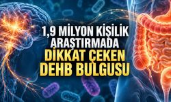 1,9 Milyondan Fazla Kişilik Araştırma: DEHB Olanlarda Bağırsak Sorunları Daha Sık Görülüyor
