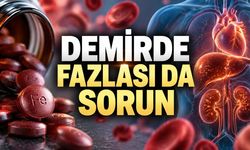 Kan Tahlili Olmadan Uzun Süre Demir Kullanımına Dikkat