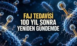 Mikrobu Öldüren Mikrop: Faj Tedavisi Neden Unutuldu, Neden Yeniden Hatırlanıyor?