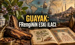 Amerika’dan Osmanlı Tıp Dünyasına Gelen “Mübarek Ağaç”: Frenginin Eski İlacı