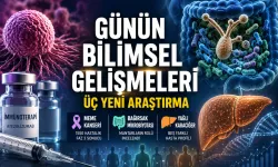 Günün Bilimsel Gelişmeleri: Kanser, Bağırsak ve Yağlı Karaciğerde Üç Yeni Araştırma
