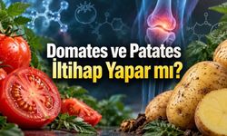 Domates, Patates ve Biber Neden Bazı İnsanlarda Tartışılıyor?