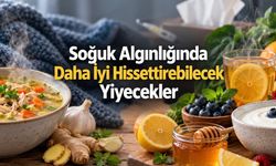 Tavuk Çorbasından Bala: Soğuk Algınlığında Gerçekten Ne İşe Yarıyor?