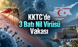 KKTC’de 3 Kişide Batı Nil Virüsü Tespit Edildi: Belirtileri ve Korunma Yolları