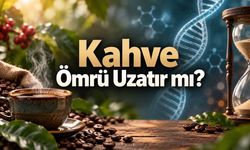 Kahve ve Uzun Ömür: Günde Kaç Fincan Sağlıklı Yaşlanmayla İlişkili?