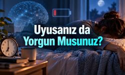 Sürekli Yorgunluk Neden Olur? Uykudan Kansızlığa Olası Nedenler