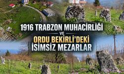 İsimsiz Taşların Altındaki Büyük Göç: Ordu’daki Kimsesiz Trabzonlular Mezarlığı