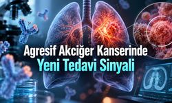 Nükseden Küçük Hücreli Akciğer Kanserinde Yeni Faz III Bulguları: Sağkalım 18,5 Aya Çıktı