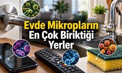 Evde En Çok Mikrop Birikebilen Eşyalar: Sandığınızdan Farklı Olabilir