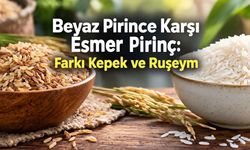 Baldo ve Basmatiyi Geride Bıraktı: Besin Değeriyle Öne Çıkan Pirinç