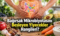 Bağırsak Mikrobiyotası İçin Ne Yemeli? Yararlı Bakterileri Besleyen Gıdalar