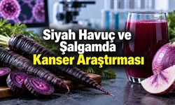 Şalgam Suyu ve Siyah Havuç Kanser Hücrelerini Azaltır mı? Araştırmalar Ne Gösteriyor?