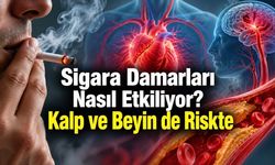 Sigara Kalp Krizi ve Felç Riskini Nasıl Artırıyor? Az İçmek de Güvenli Değil