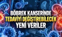 İleri Evre Böbrek Kanserinde Tedavi Değişiyor: İmmünoterapi Sonrası Yeni Seçenekler