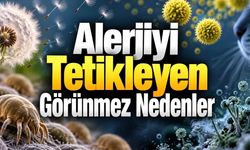 Alerjiyi Ne Tetikler? Evde ve Dışarıda Karşılaştığımız 10 Yaygın Neden