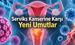 Serviks Kanseri Nedir? Belirtileri, Tanısı, Tedavisi ve 2026’nın Umut Veren Yeni Tedavileri