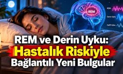 REM Uykusu Neden Önemli? 95 Bin Kişilik Araştırmada 83 Hastalıkla İlişkili Bulundu
