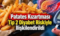 Haşlanmış Patates ile Kızartma Arasında Diyabet Riski Farkı Çıktı