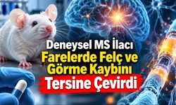 Deneysel ilaç Kamuvudine-9 MS farelerinde felç ve görme kaybını tersine çevirdi