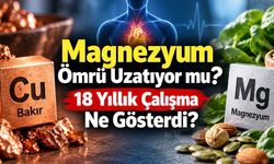 Kandaki yüksek bakır ve düşük magnezyum ölüm riskiyle ilişkili bulundu: 18 yıllık çalışma ne gösterdi?