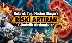 Böbrek Taşı Neden Olur? Belirtileri, Tedavisi ve Korunma Yolları