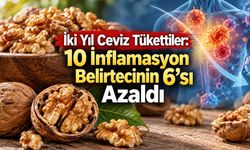 Ceviz Yaşlanmayı Yavaşlatır mı? İnflamasyon, Telomer ve Kanser Bulguları