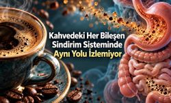 Bağırsak sağlığı için hangi kahve daha iyi? Araştırmaların gösterdiği sınır