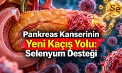 Pankreas Kanseri Hücrelerini Ferroptozdan Koruyan Selenyum Mekanizması Bulundu