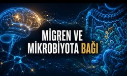 Migren, Uyku ve Bağırsak Arasında Yeni Beslenme Bulgusu