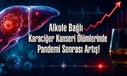 Alkole Bağlı Karaciğer Kanseri Ölümlerinde Pandemi Kırılması