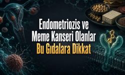 Endometriozis ve Meme Kanseri Olanlar Hangi Gıdalara Dikkat Etmeli?