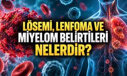 Lösemi, Lenfoma ve Miyelom Belirtileri Nelerdir? Kan Kanseri Rehberi