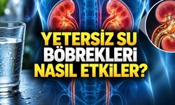 Sıcak havalarda daha da önemli: Susuzluk böbrekleri nasıl etkiliyor?