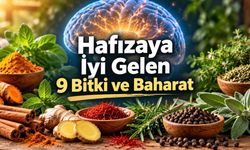 Hafızayı Destekleyen 9 Bitki ve Baharat: Hangileri Gerçekten Etkili?