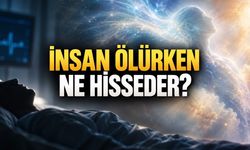 İnsan Ölürken Ne Hisseder? Bilim Ölümün Son Anları Hakkında Ne Biliyor?