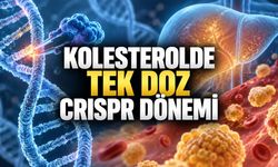 Tek Doz Gen Düzenleme LDL’yi Bir Yıl Boyunca Yüzde 52 Düşürdü