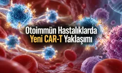 CAR-T Hücreleri Hastanın Vücudunda Üretildi: 16 Hastadan İlk İnsan Verileri