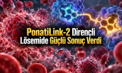 Nature’da Yeni İlaç Tasarımı: PonatiLink-2 Dirençli Modelde Etki Gösterdi