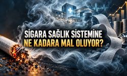 Sigaranın Sağlık Sistemine Maliyeti: Ülkelerin Faturası Ne Kadar?