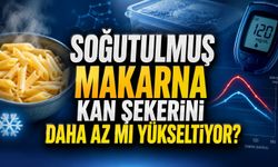Makarnayı Pişirip Soğuttuktan Sonra Yemek Kan Şekerini Gerçekten Daha Az mı Yükseltiyor?