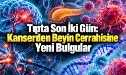 Tıpta Son 48 Saat: Dört Yeni Araştırmadan Öne Çıkan Bulgular