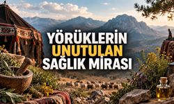 Torosların Açık Hava Eczanesi: Yörüklerin Yüzyıllık Sağlık Bilgisi