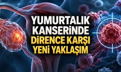 Yumurtalık Kanserinde İlaç Direncinin Yeni Zayıf Noktası BCL-XL Olabilir