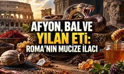 Roma’nın Her Derde Deva Sanılan İlacı: Reçetede Neden Yılan Eti Vardı?