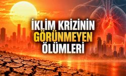 İklim Değişikliği Sağlığı Nasıl Etkiliyor? Aşırı Sıcakların Görünmeyen Ölüm Yükü