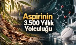 Söğüt Kabuğundan Aspirine: Binlerce Yıllık Ağrı Kesicinin Dönüşümü